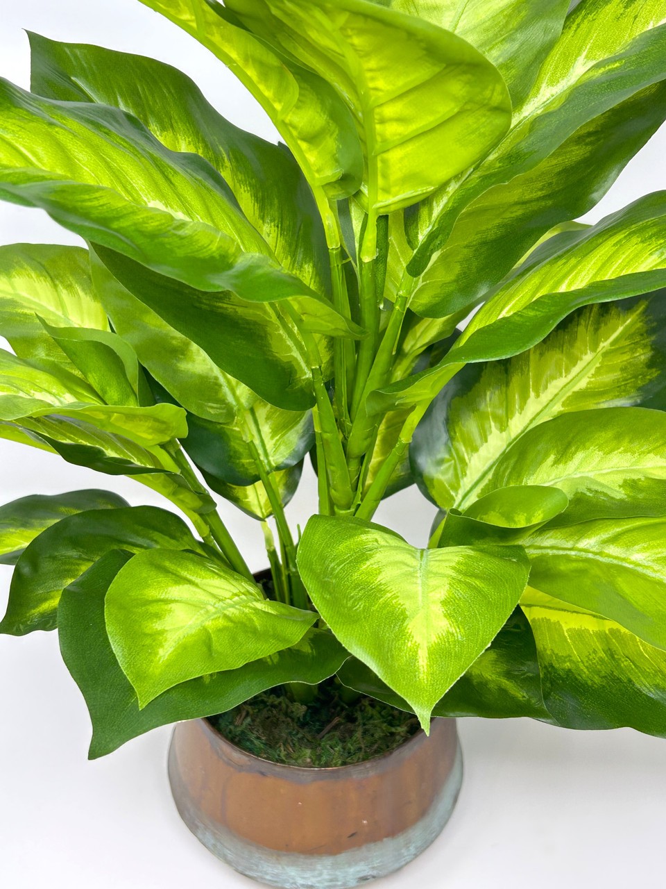 18″ Lg Artificial AGLAONEMA DIEFFENBACHIA faux Silk plant in Copper Pot