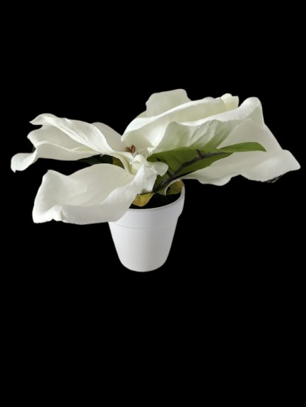 Magnolia table favor decoration CREAM