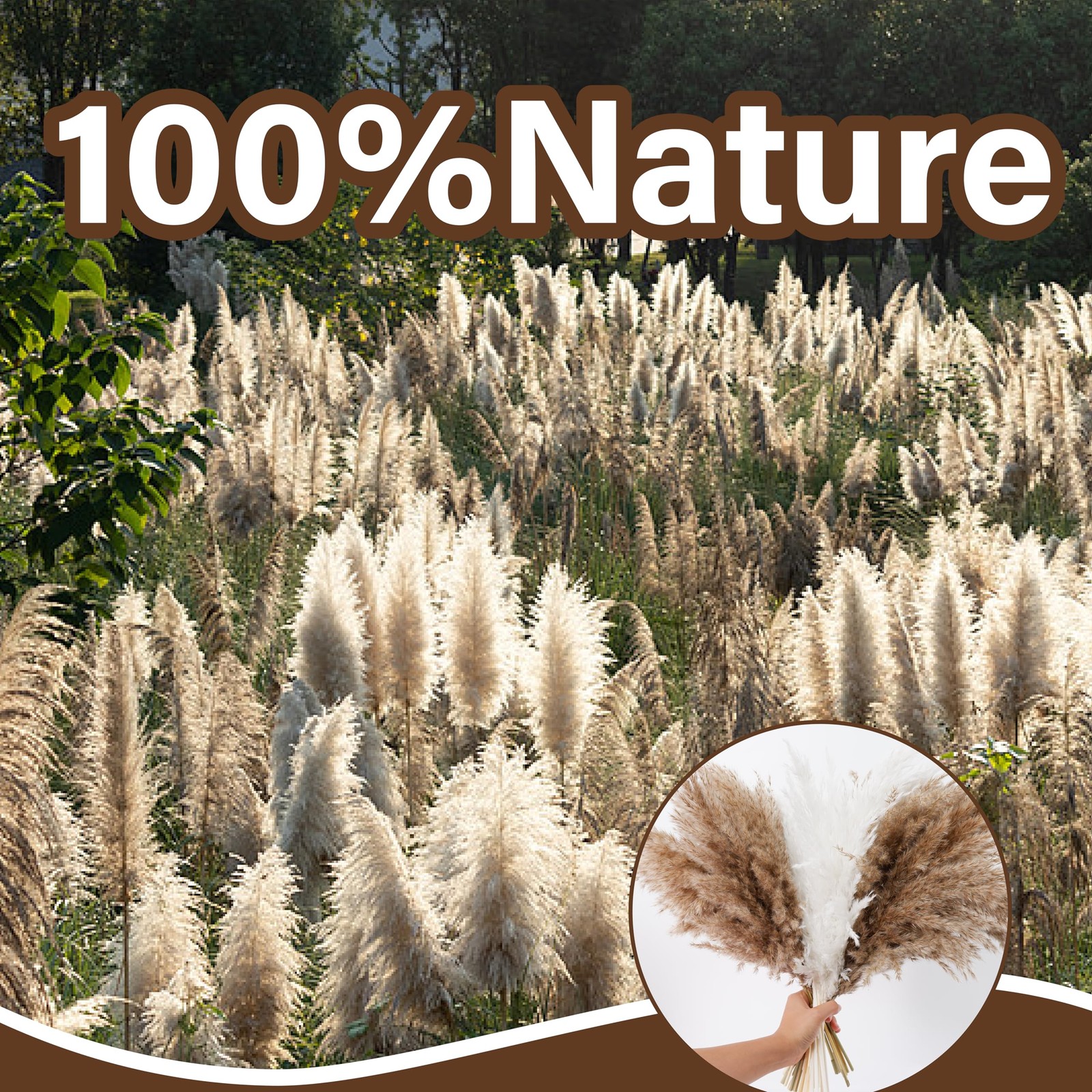 40 PCS Tall Pampas Grass for Floor Vase â€“ 17″ Natural Fluffy Dried Pampas