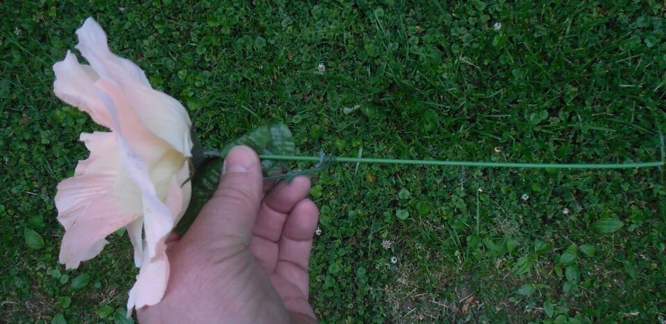 5″ Diameter Peach Color Rose Artificial Flower Floral Decor Decorative w/ Stem