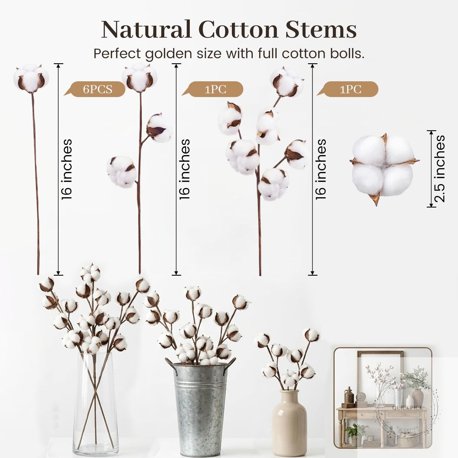 Cotton Stems 8 Packs with 15 Bolls, Natural Dried Flowers Cotton Sprigs for Vase