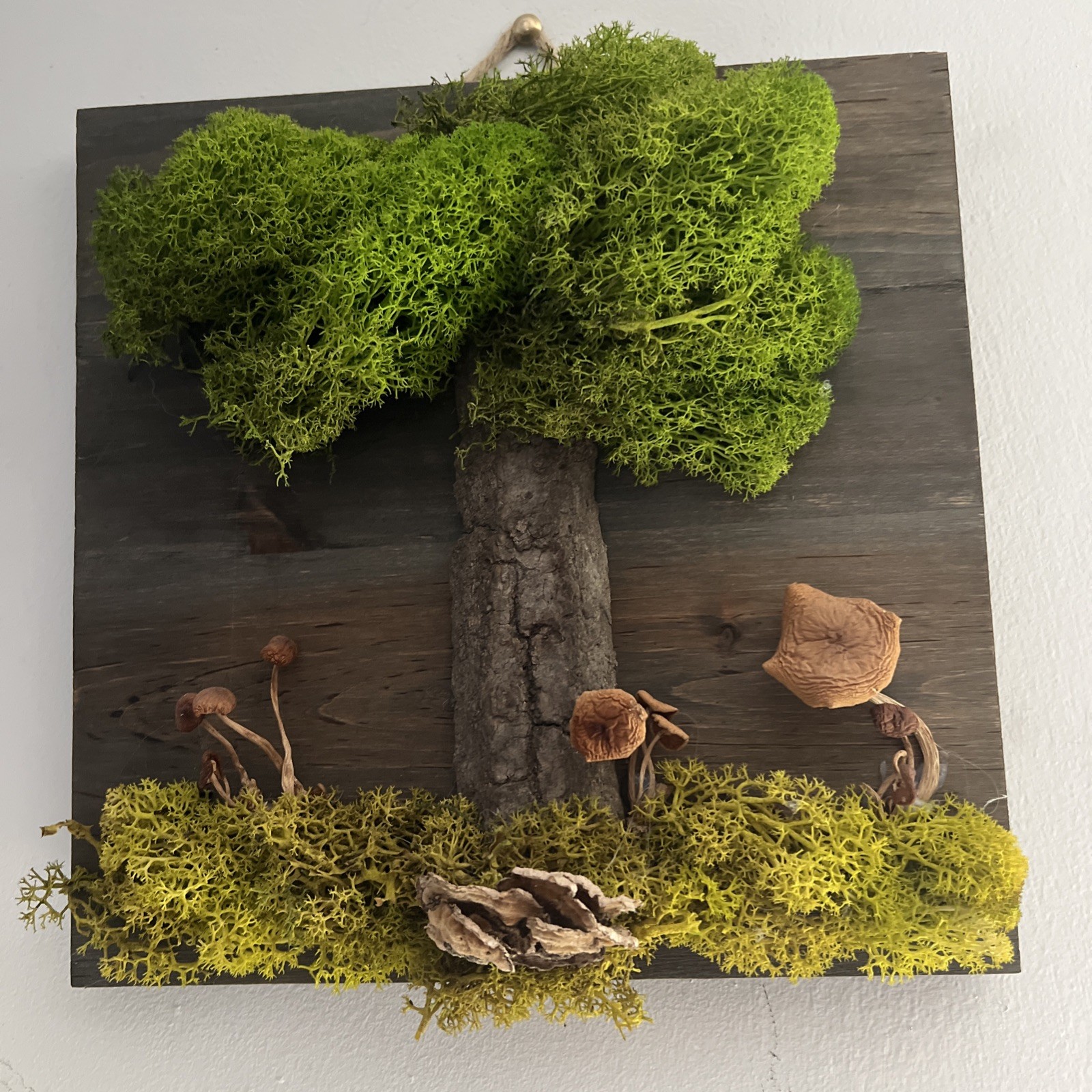 Natural Moss Handmade Art – Wood Wall Plaque Hanging Decor Real Dried Mushrooms