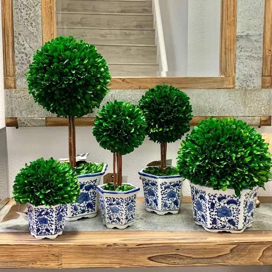 Preserved Boxwood Topiary Tree in Blue & White Ceramic Pot – Plant and Table …