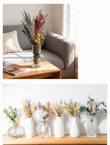 12 Kind Dried Flowers Set Natural Floral Bouquet for DIY Crafts Wedding Home Dec