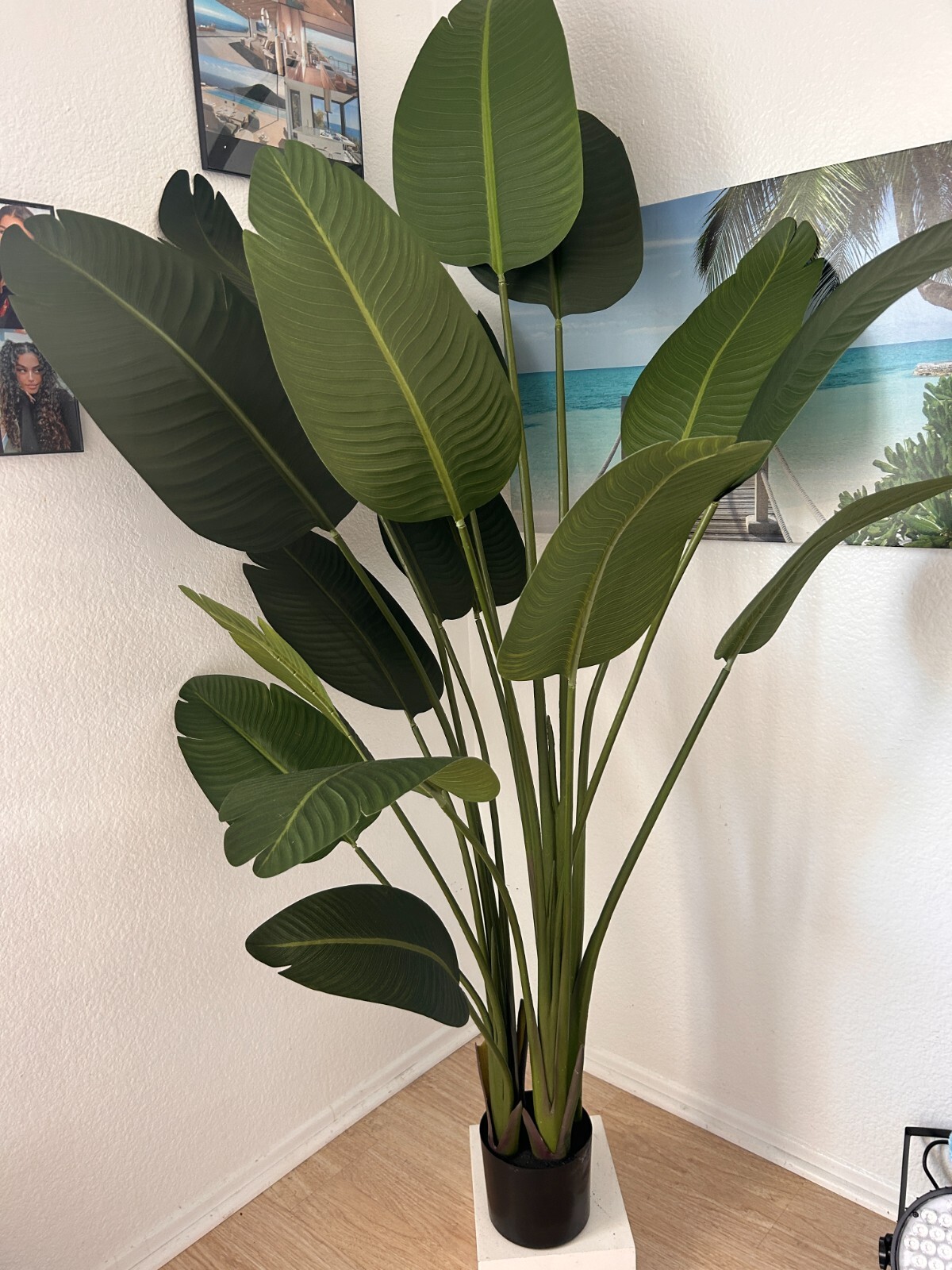 OXLLXO 6.5ft Artificial Silk Bird of Paradise Palm Tree (78in) with 17 Trunks Fa