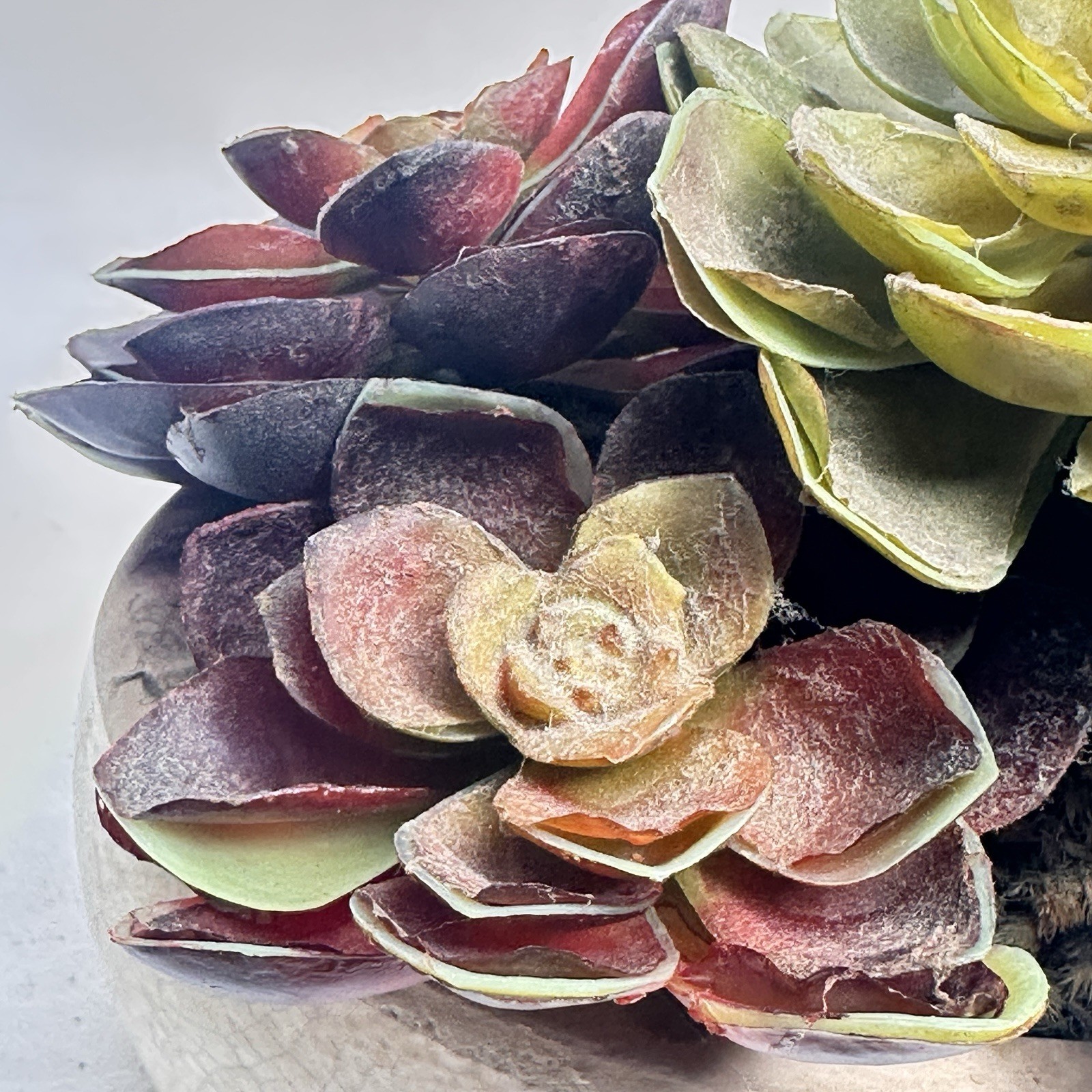 Faux Succulent Plants In Hammered Metal Container 5 In X 6 Inch Looks Real