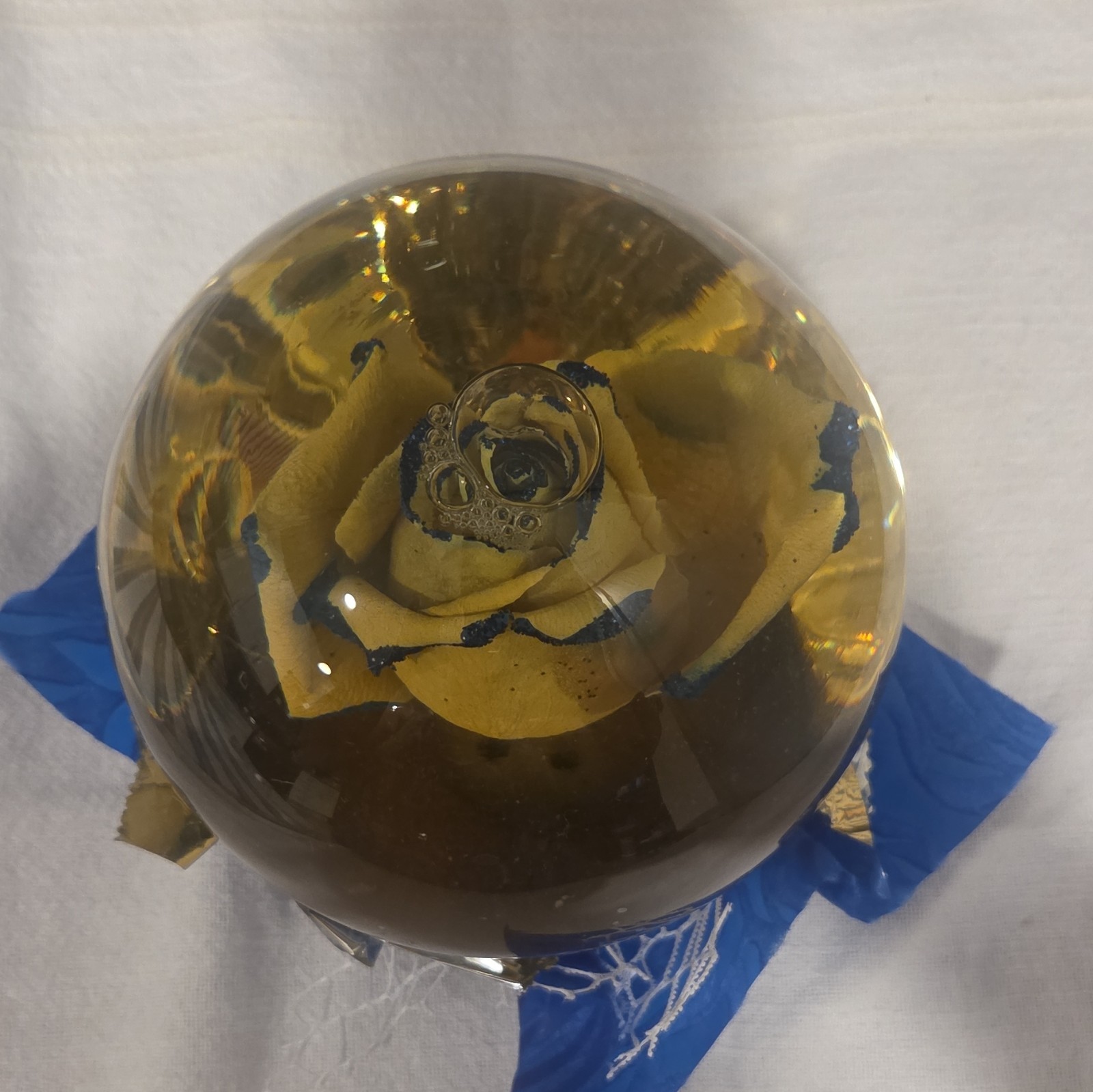 Mexiflower Rose Glass Bubble Fresh Rose Arrangement & Centerpiece, Yellow/Blue