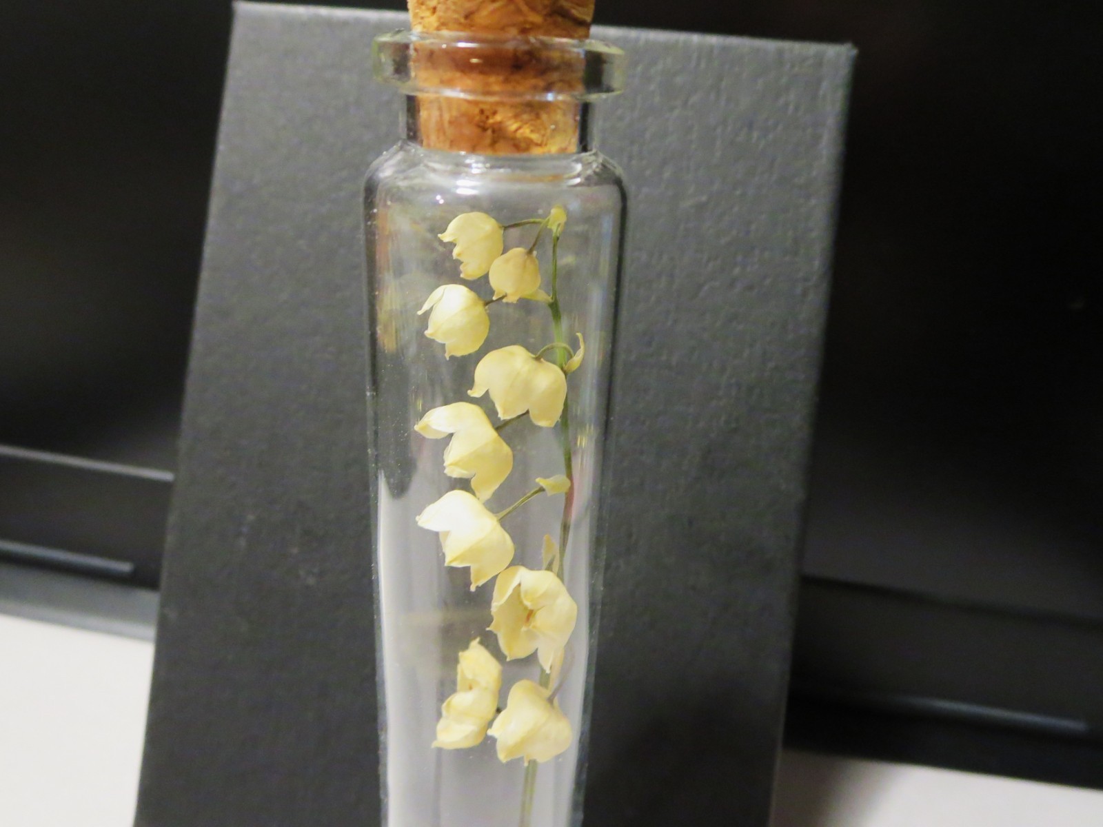 Dried flowers Lily of the valley vial botany Floral Bloom Display ,wunderkammer