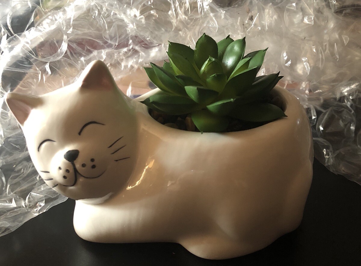 Cat Ceramic Vase W/Faux Succulent In Pebbles. 4 Inches High Including Plant New
