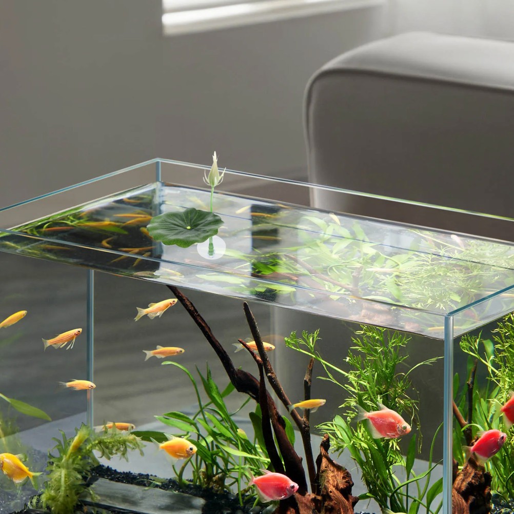 2Pcs Betta Fish Rest ABS Plastic Leaf Bed Aquarium Breeding Hide Leaf Green
