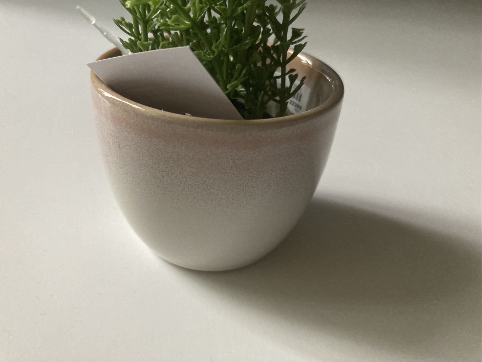 Ikea GRADDAPPLE Plant pot, indoor/outdoor pink/white2 ¼ ” (plant not Included)
