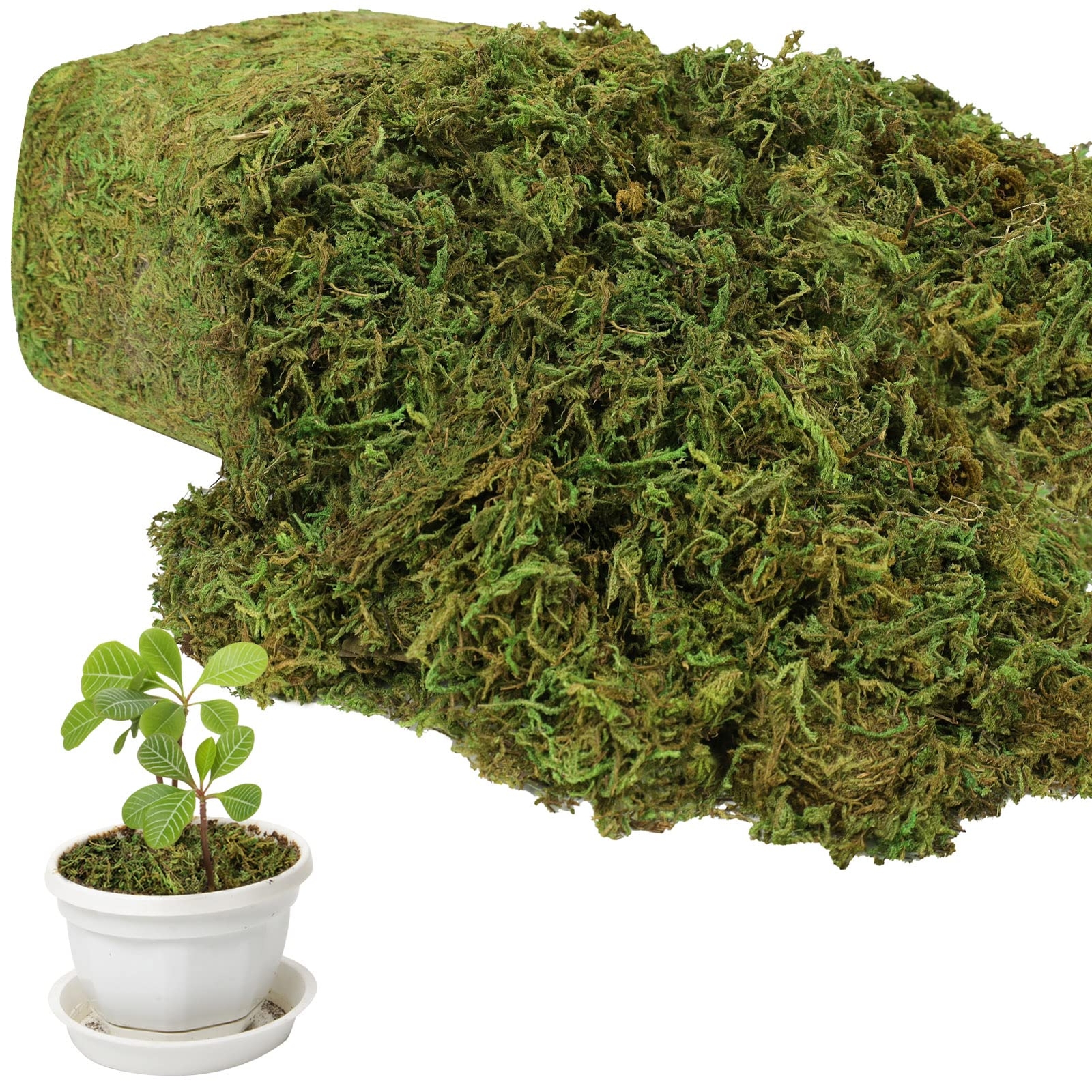 Fresh Green Artificial Moss 35 OZ Large Capacity Fake Grass for Potted Plants