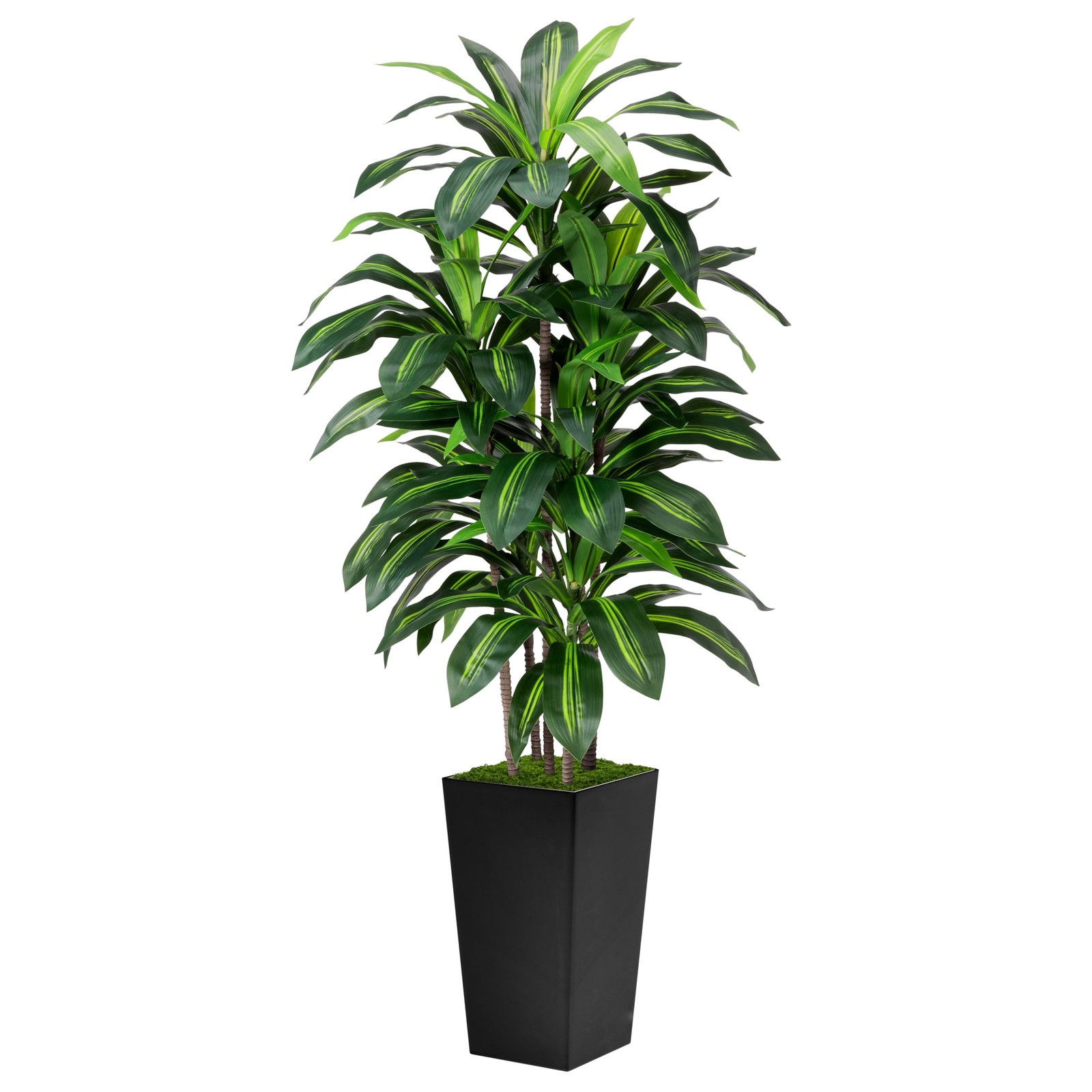 Artificial Dracaena Tree 5FT – Fake with Black Tall Planter – 5ft,