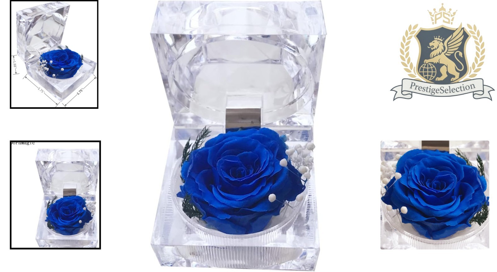 3-5 Lasting Blue Rose in Acrylic Box – Romantic Gift for Special Occasions