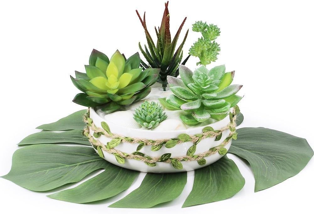 5 Pcs Assorted Artificial Succulents Plants Unpotted Small Green Cactus Echeveri