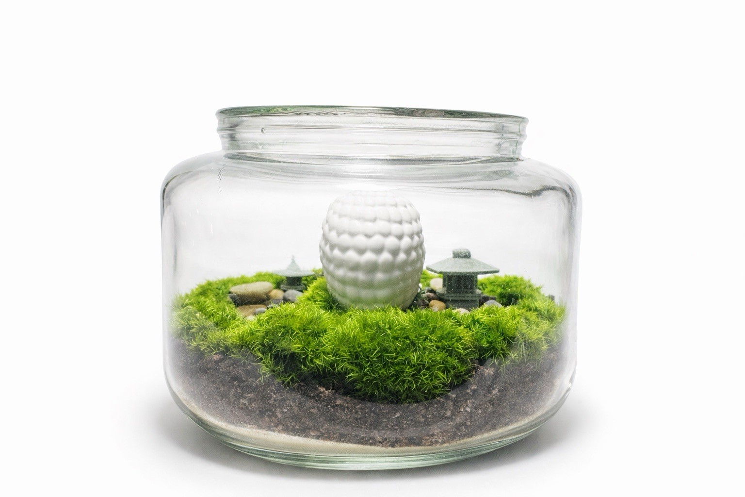 Preserved Moss Zen Terrarium Glass Jar Buddha Decor No Maintenance