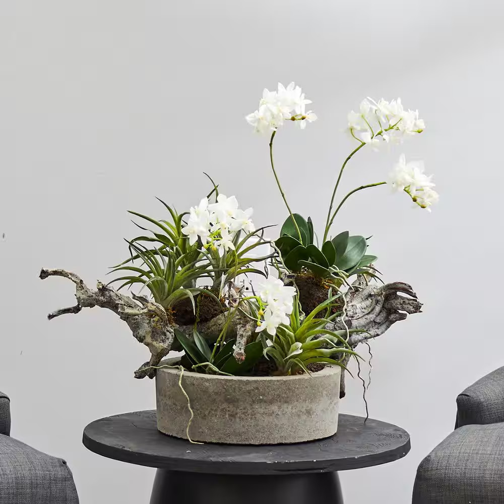 Artificial Orchid and Succulent Garden with Driftwood and Decorative Vase