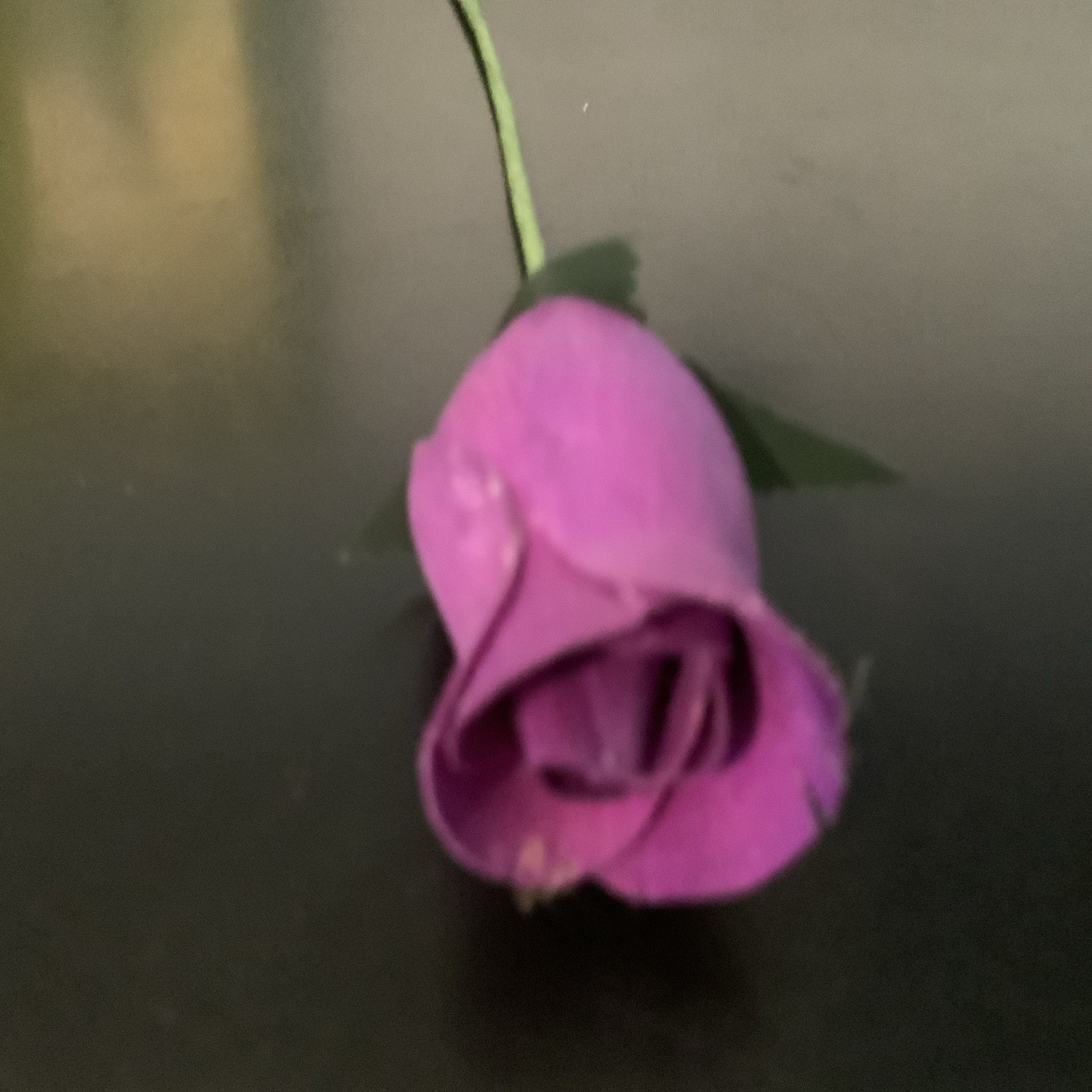 Bouquet Of A Dozen Wooden Purple Roses