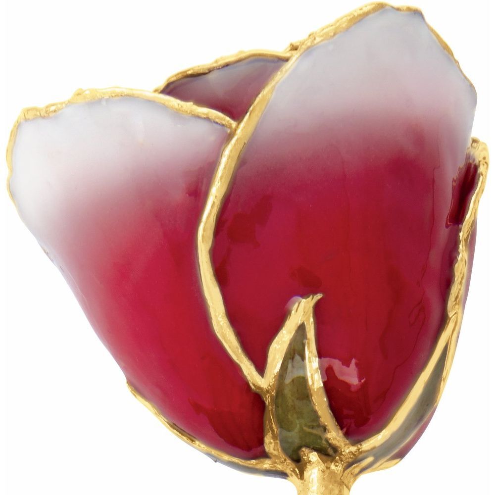 24k Gold Dipped White & Red Lacquer Real Rose Valentine’s Day Holiday Gift