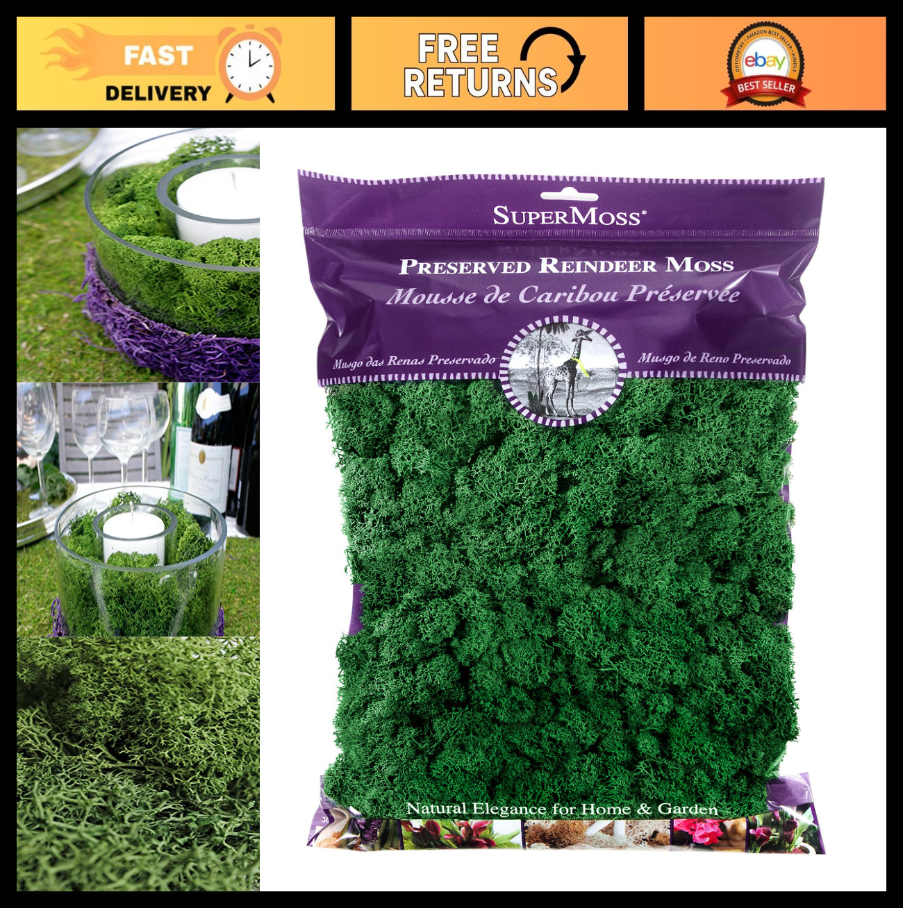 Preserved Reindeer Moss – Forest Green, 8oz (200 Cubic Inches) for Crafts & Deco