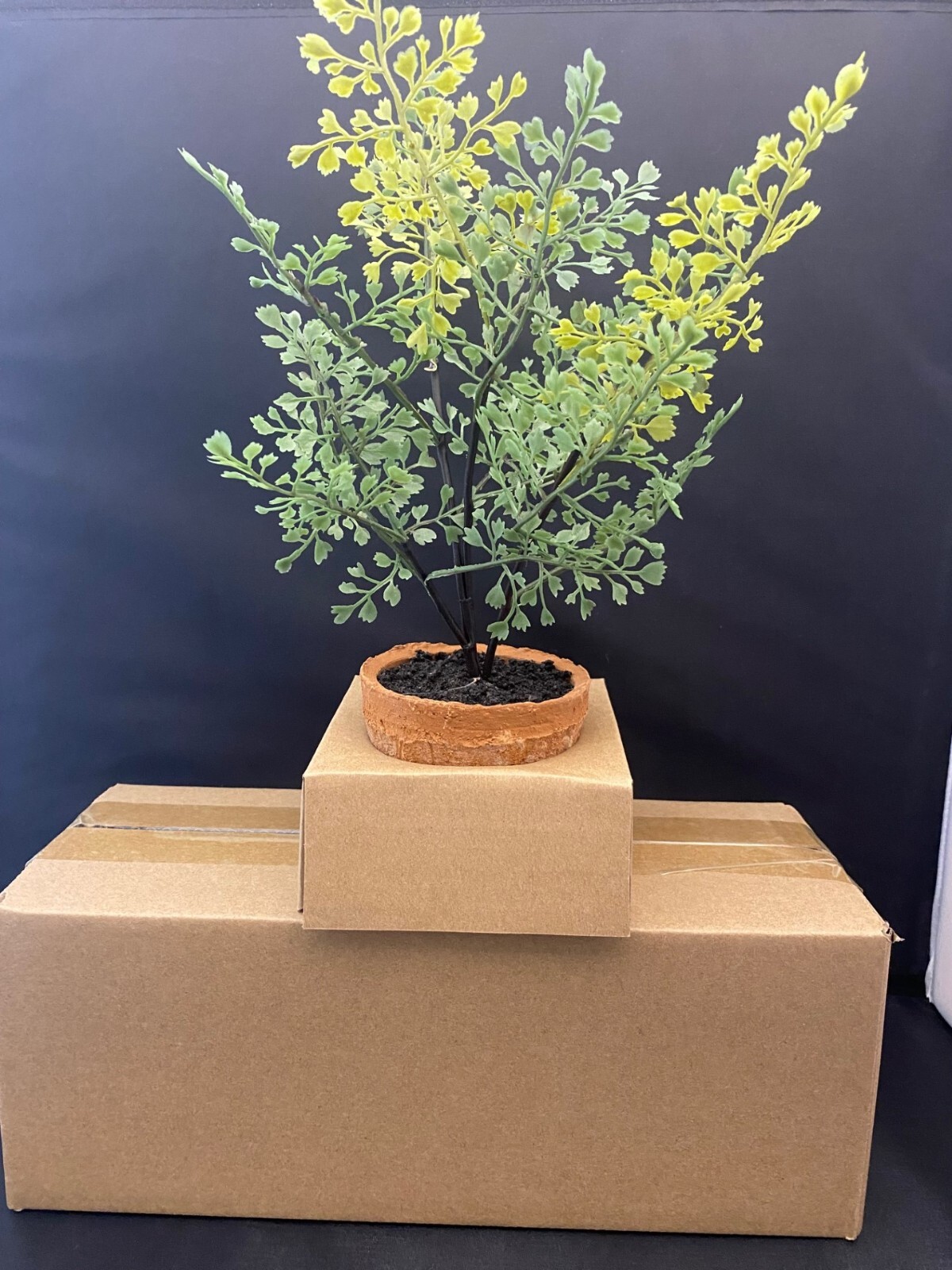 NEW Pottery Barn Faux Southern Mini Maiden Hair Fern in Terra Cotta Potted NWT