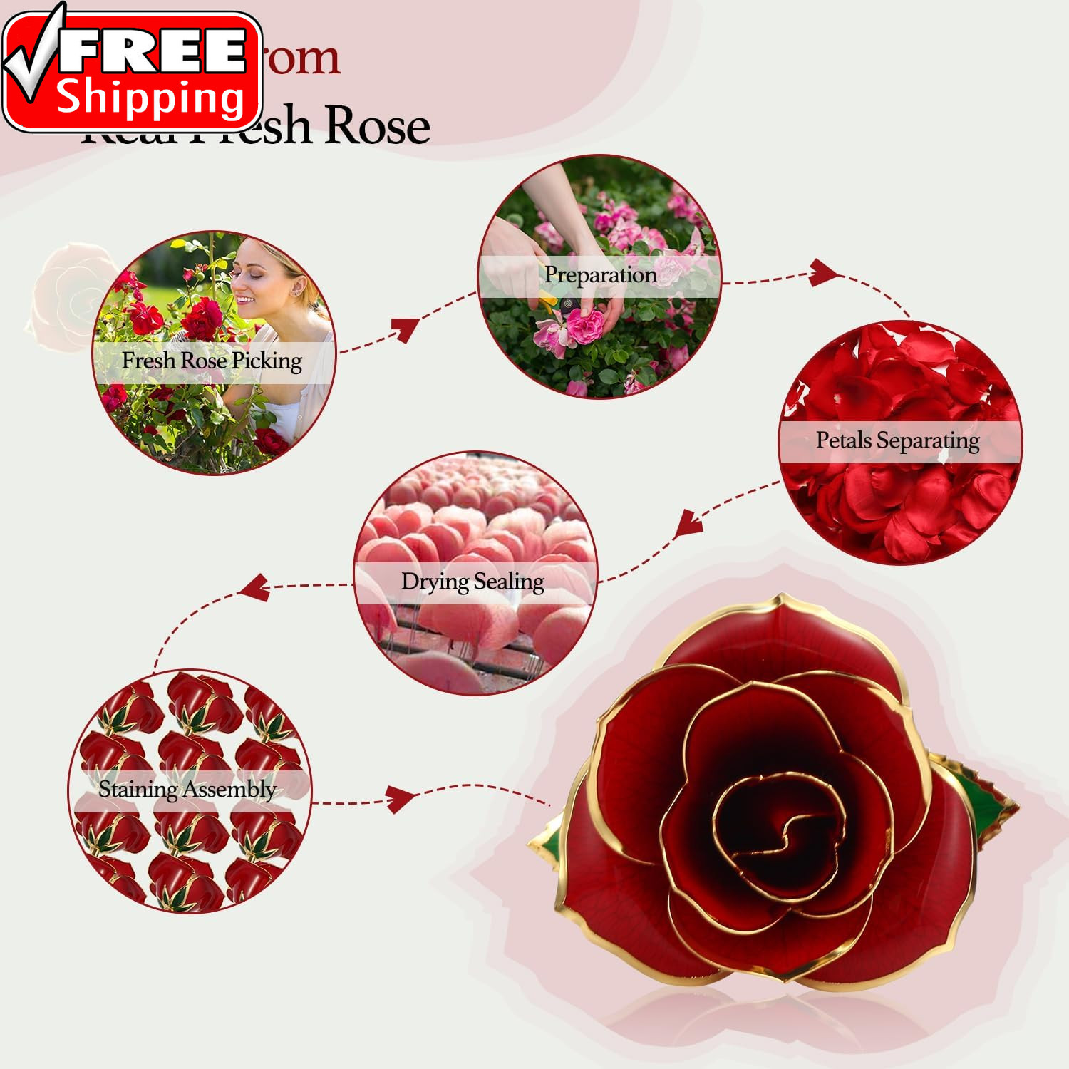 Gold Dipped Rose 24K Red Gold Plated Rose – Everlasting Long Stem Real Rose Exqu