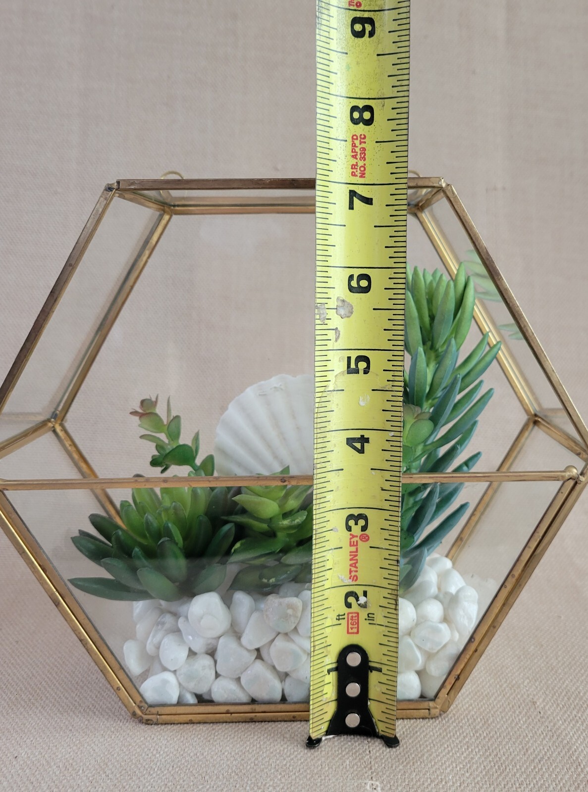 Plant Terrarium Geometric Gold Edge Planter Artificial Succulent Open Side Glass