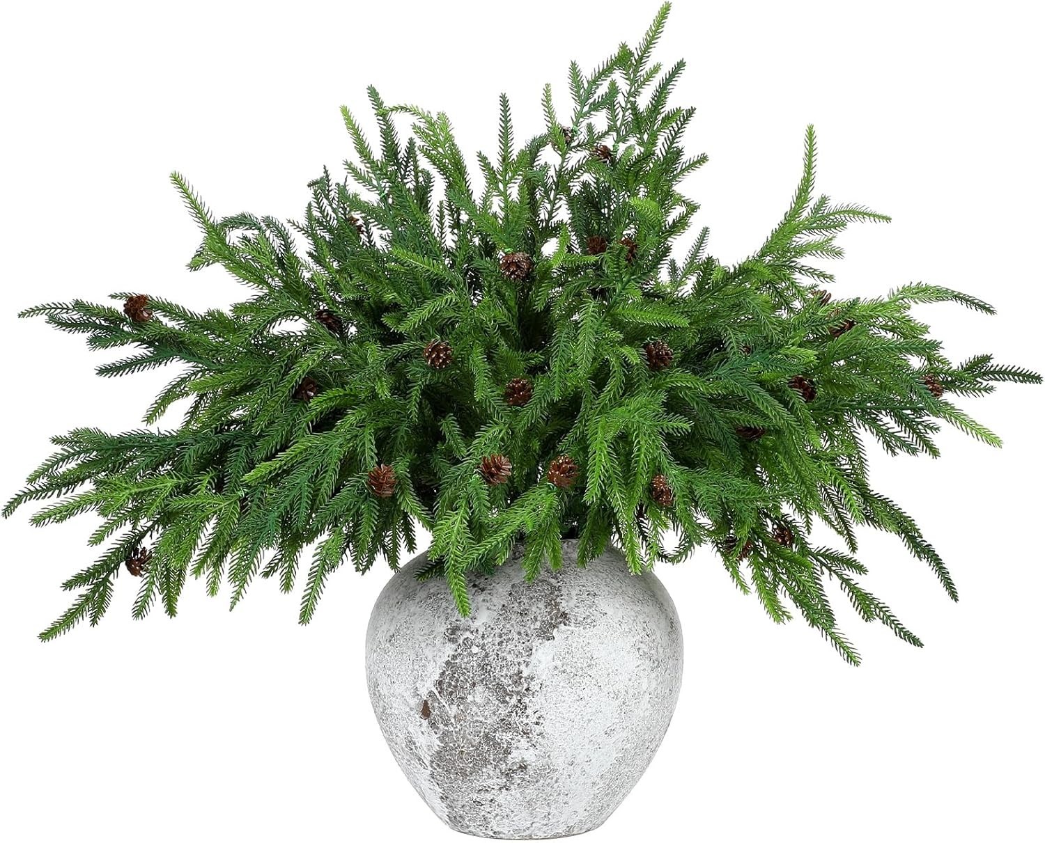 Set of 10 Realistic Norfolk Pine Branches with Cones for Elegant Holiday Styling
