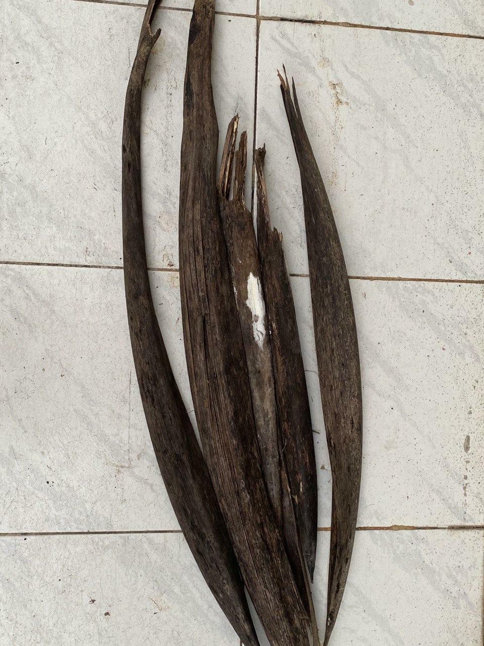 Coconut Tree Dried Spathe Diy Home Deco’s 100 Pure Organic Craft Item