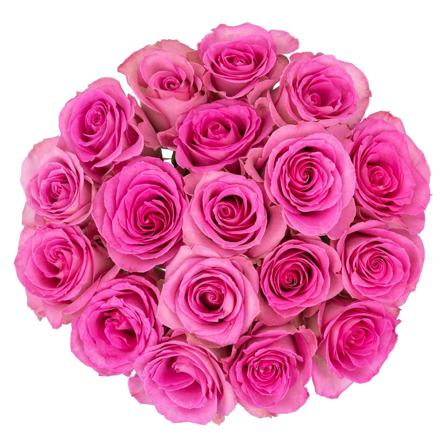 18 Pink Roses Bouquet – Fresh Cut Flowers-Lasting Roses for Gifts, Birthdays & A