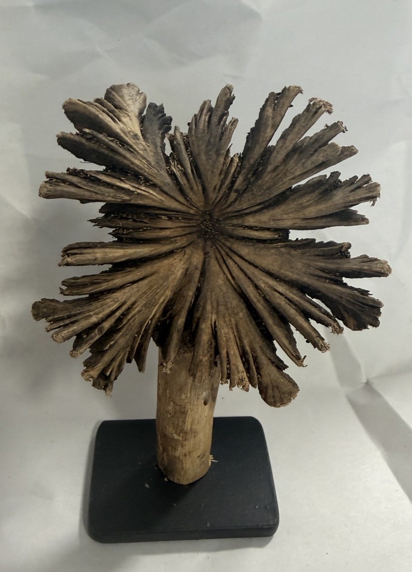 Rare Guatemala Wooden Tree Flower / Tree Ear on Iron Stand.