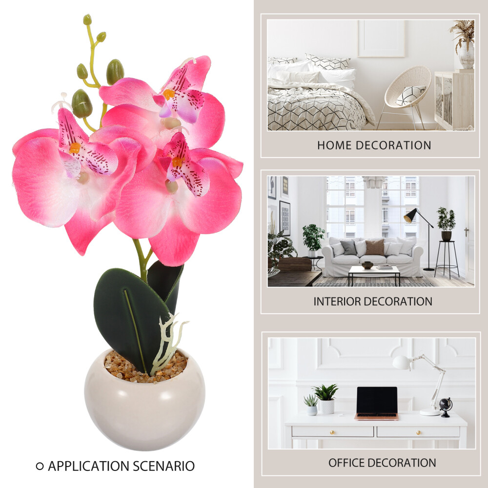 Phalaenopsis Bonsai Prop Simulation Phalaenopsis Plant Fake Phalaenopsis Decor