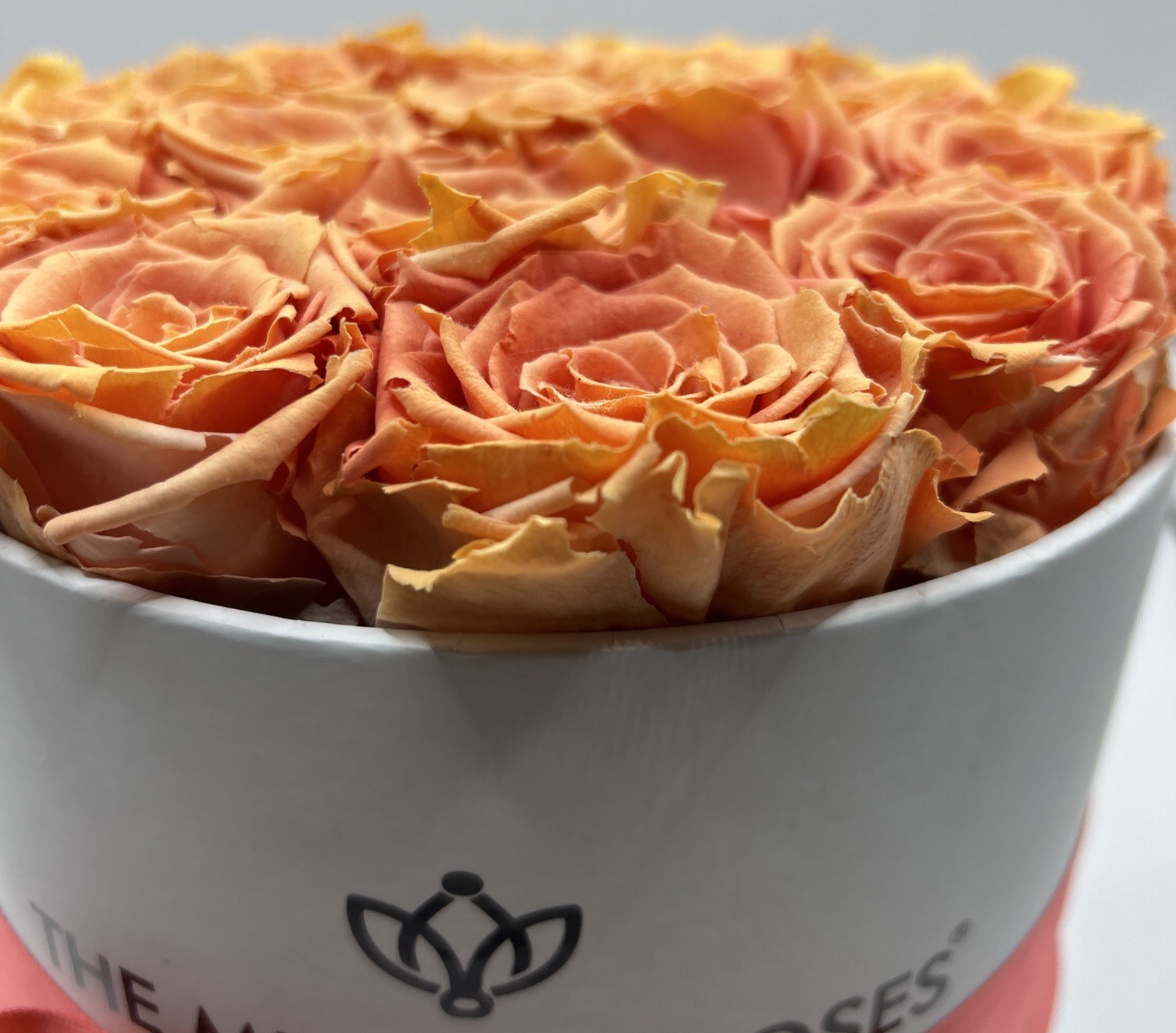 the million roses