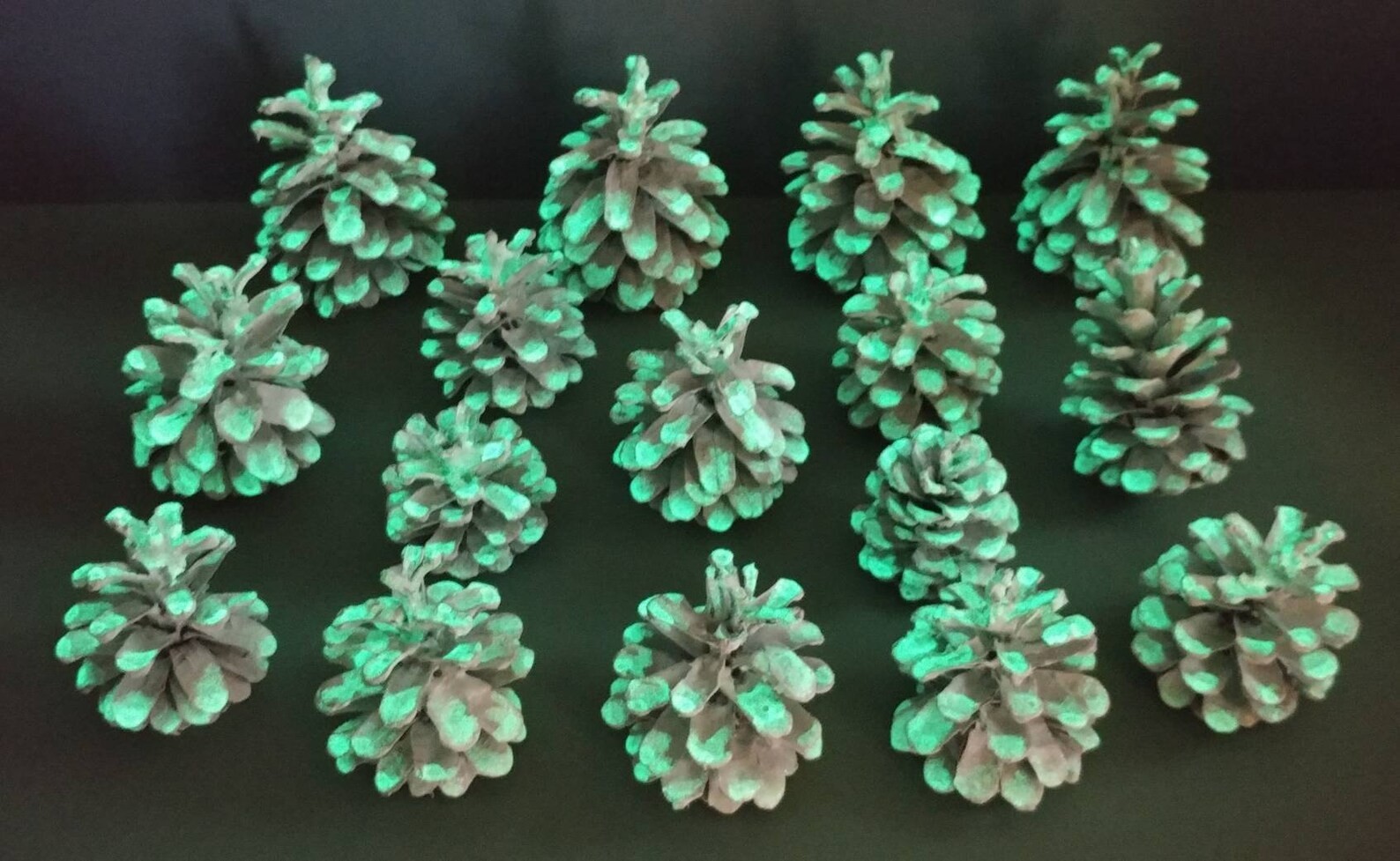 15 White Glowing in the Dark Glittered Pine Cones Hand Painted Natural Pinecones
