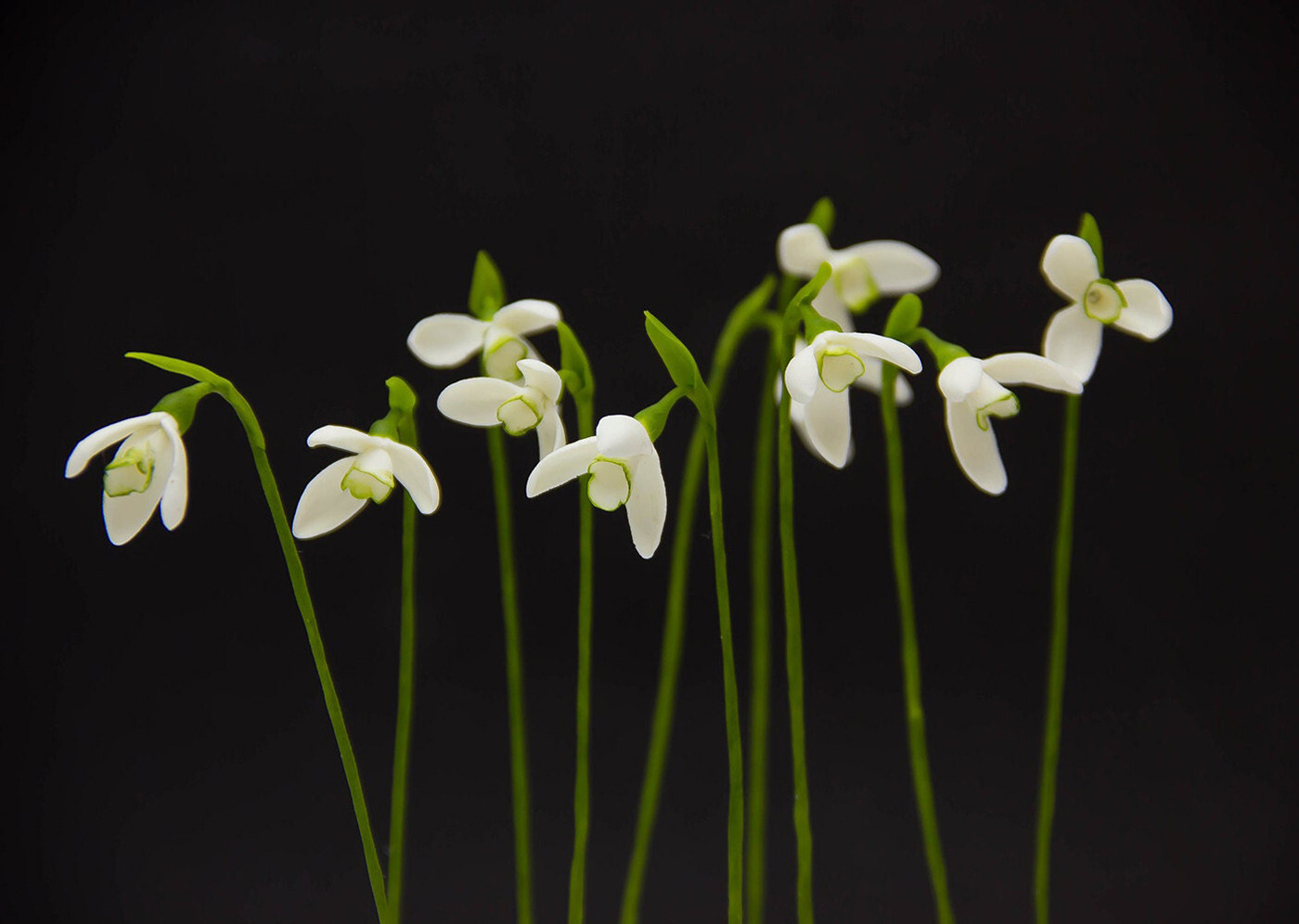10pcs Snowdrop Flowers Polymer Clay Handmade Flowers Bridal Bouquet Wedding