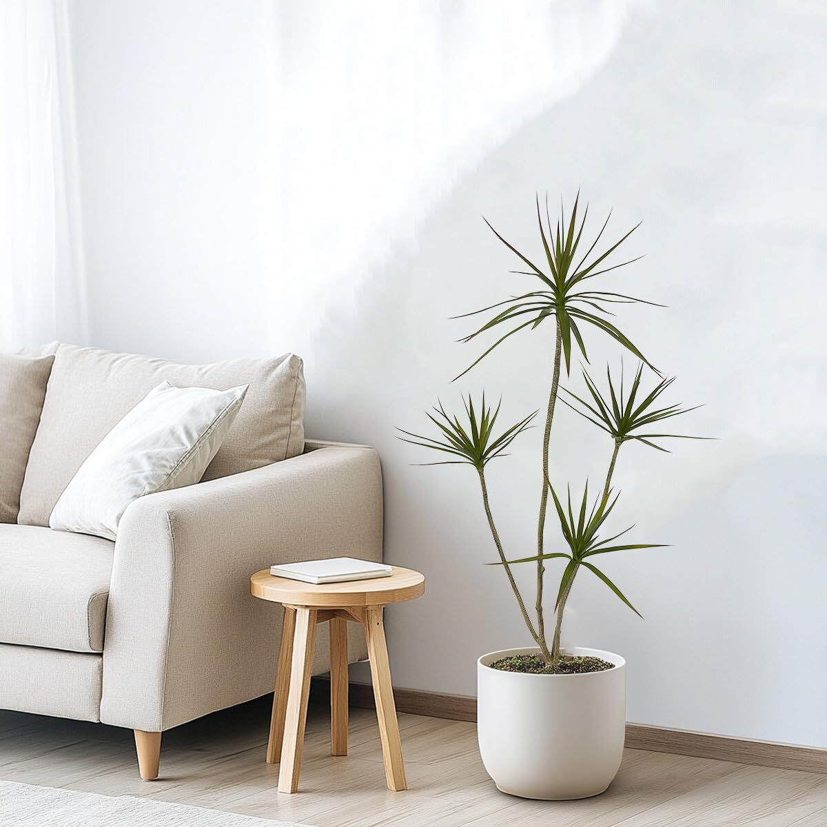 ARTIFICIAL DRACAENA MARGINATA4FT TALL FAKE PLANTS ARTIFICIAL DRACAENA MARGINATA