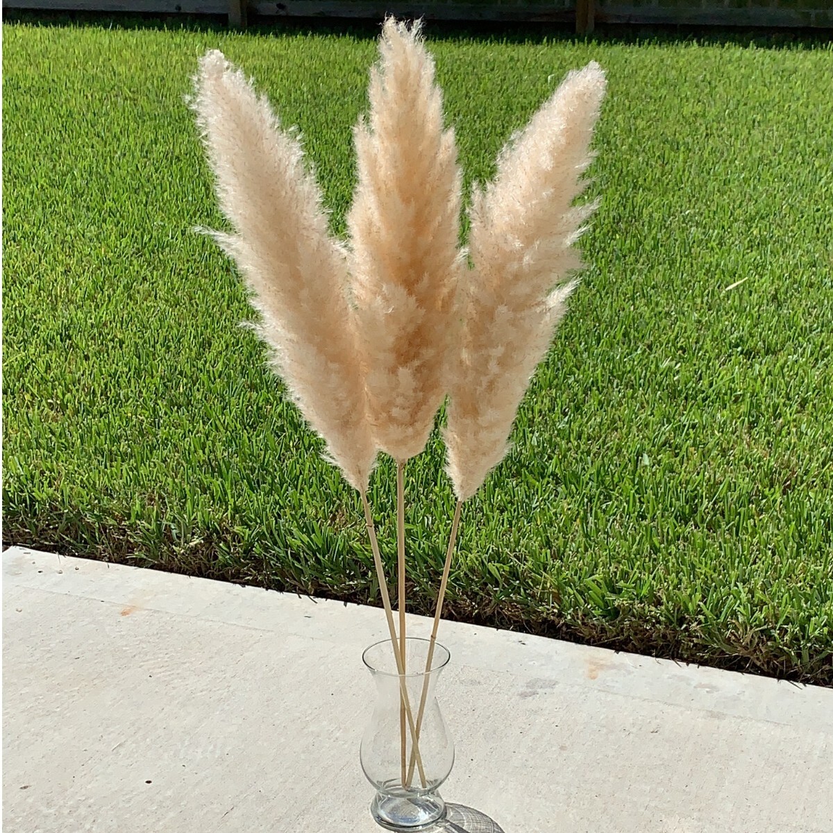 Dried Large Pampas Grass Decor Tall, 3 Pc Set, 43in/110cm