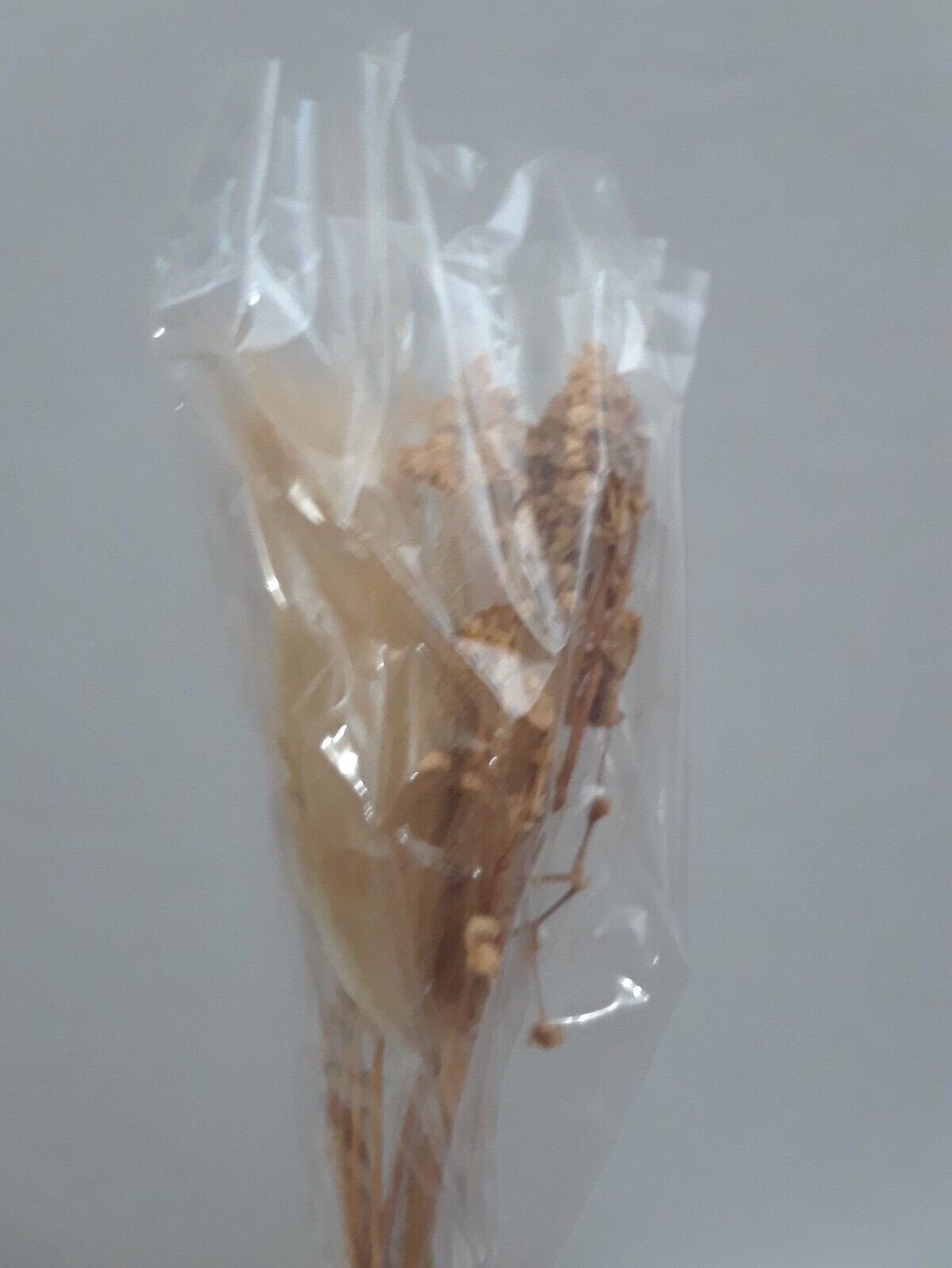Dry Flower Decor Dried Flower Decor Bouquet Reusable Dried Floral Lot of 11