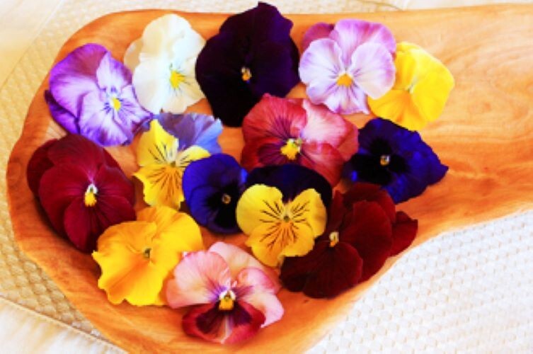 Fresh Edible Garnish Flowers-Bright Pansies Overnight Free Shipping WEDNESDAYS