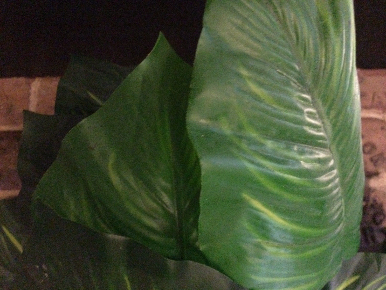 2 Small Artificial Fake Faux Plants➕Pots➕Stones 🌱Monstera➕Apple Leaf 📏16” Tall