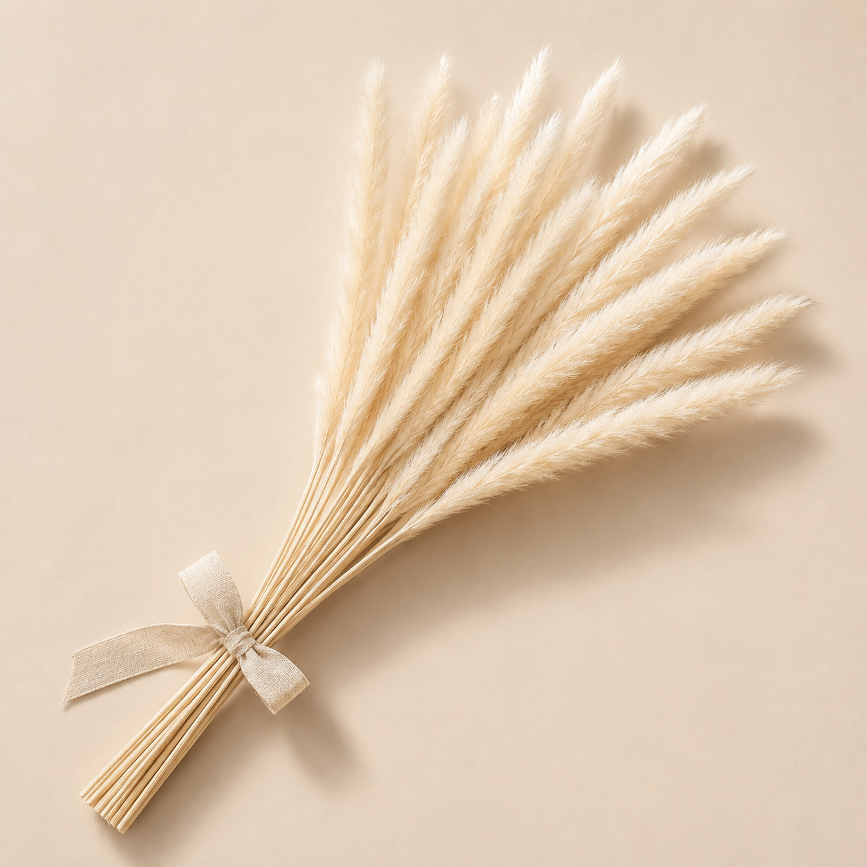 15 Stems Natural Dried White Pampas Grass Boho Wedding Home Decor 24in