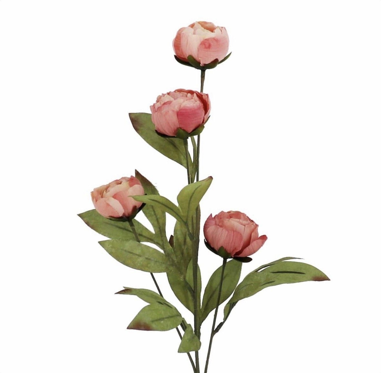 Set of 4 Viral Ashland Coral Peony Stems From Michael’s NEW 2026