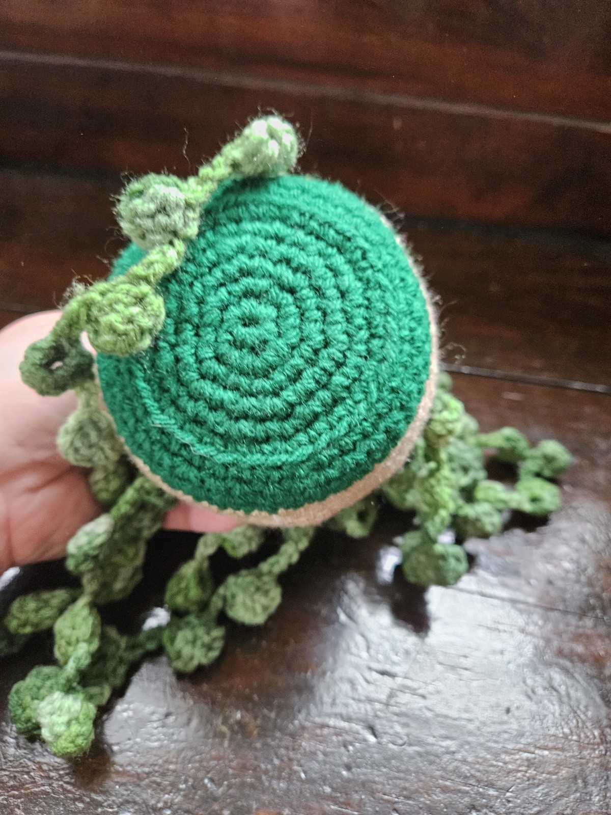 Crochet Home Office Plant Plushie String Of Pearls Succulent Handmade Art Gift