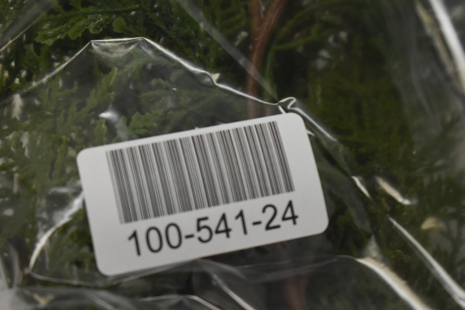 West Elm Artificial Greenery Faux 18″ Pine Branch Houseplant Branch Stem