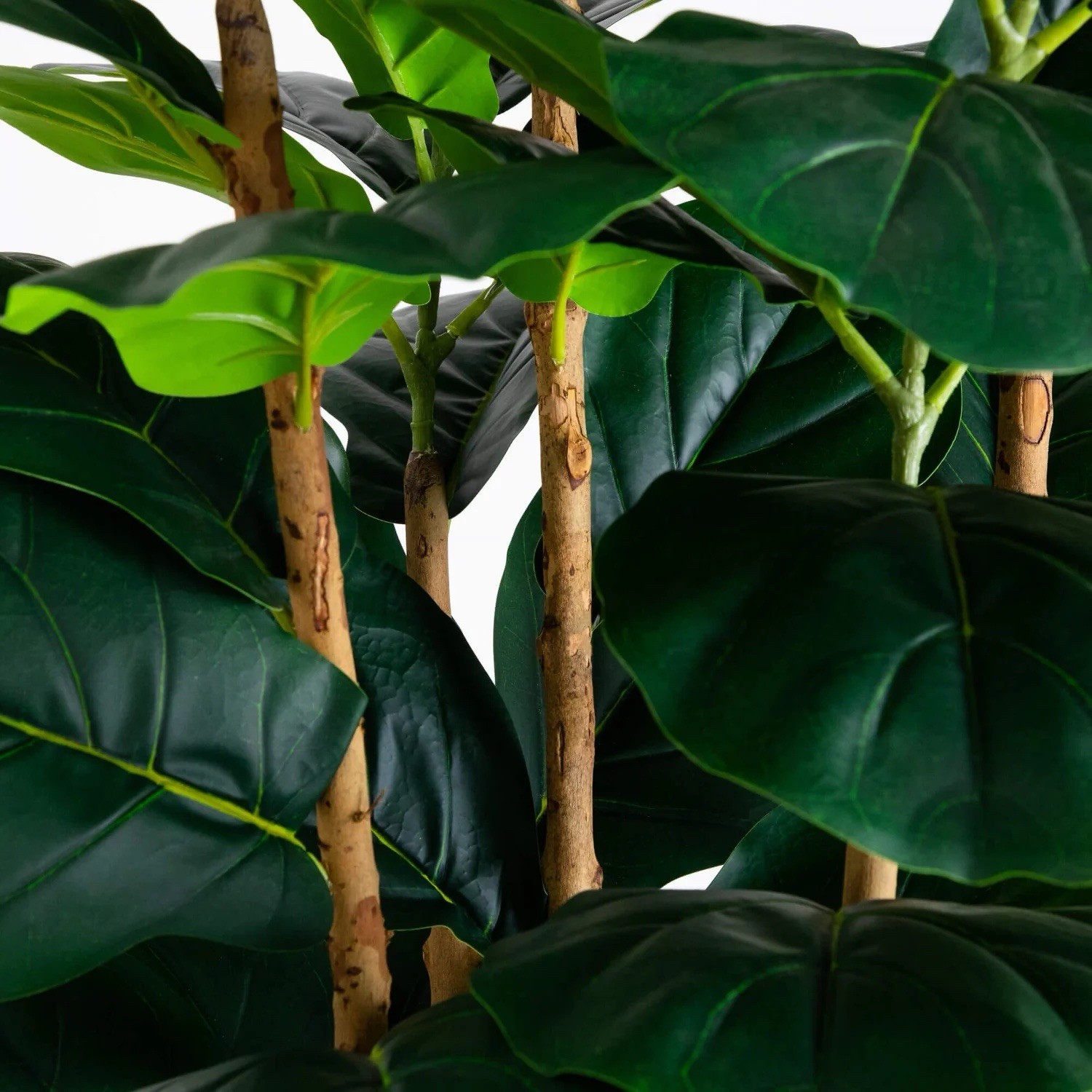 8 Ft. Artificial Fiddle Leaf Tree in Decorative White Planter. Retail $299