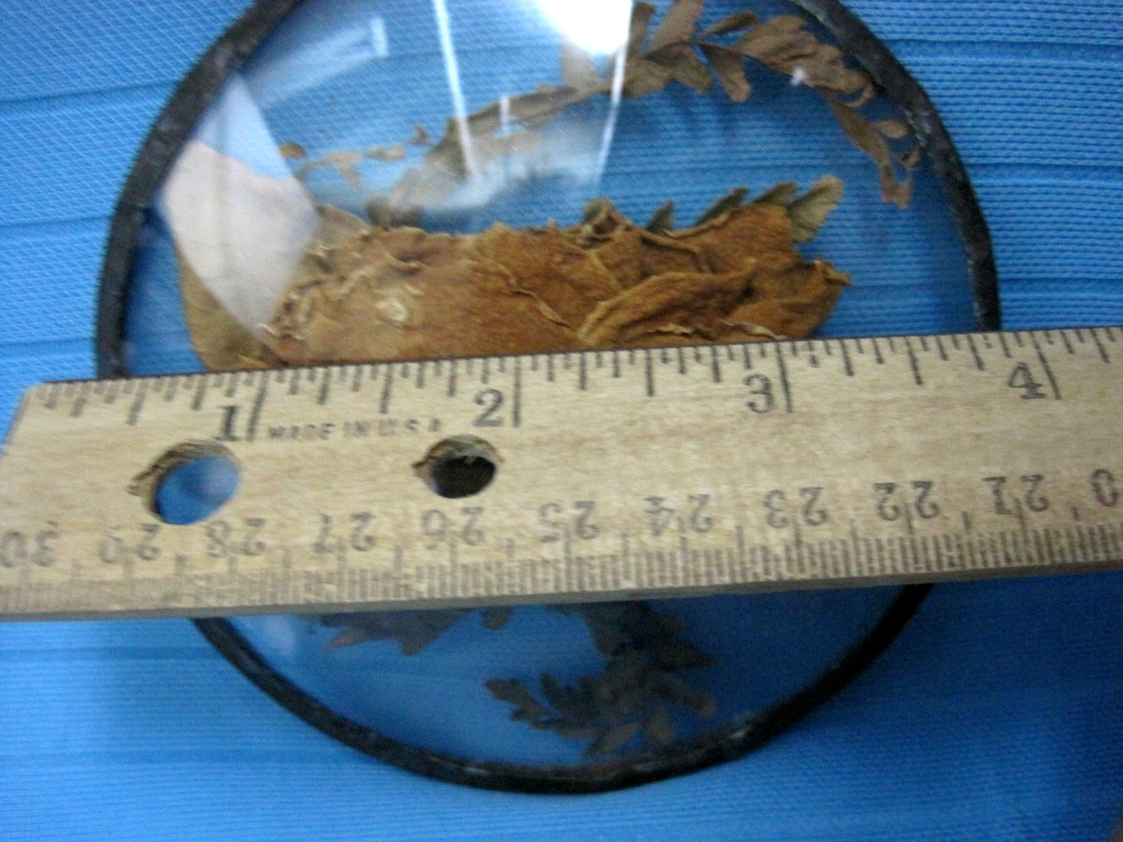Real Rose Dried Natural Flower Sealed in Glass on Wood Stand