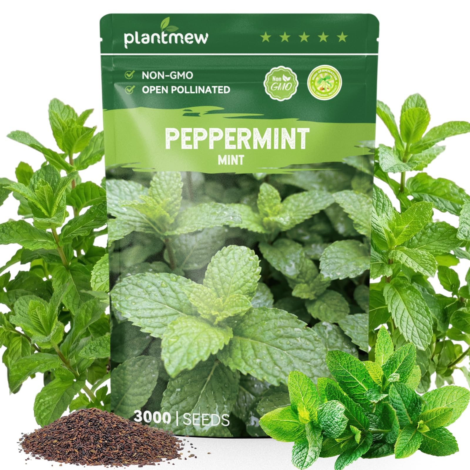 3000 Peppermint Seeds for Planting Indoors & Outdoors –