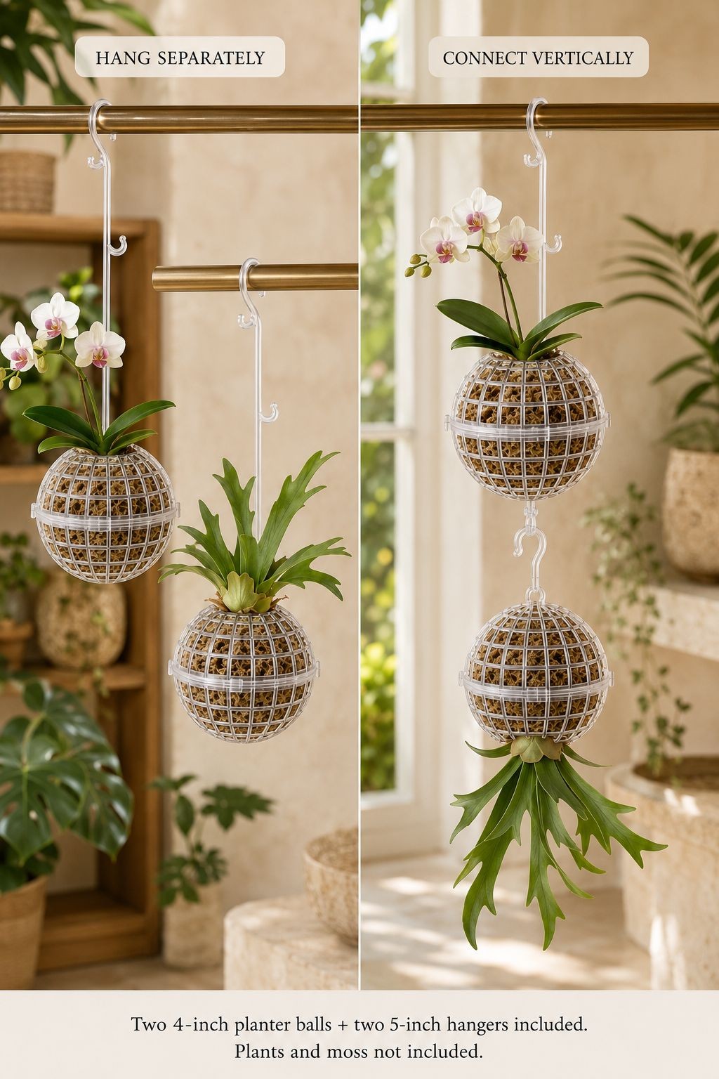 Hanging Moss Ball Planter Set of 2, 4 Inch Orchid Fern and Air Plant Baskets