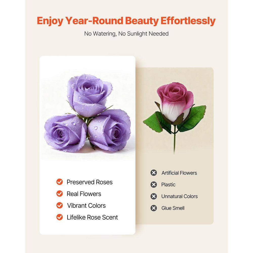 50 Preserved Roses in a Box, 6.5 In. Lavender Purple Indoor Artificial Rose in B