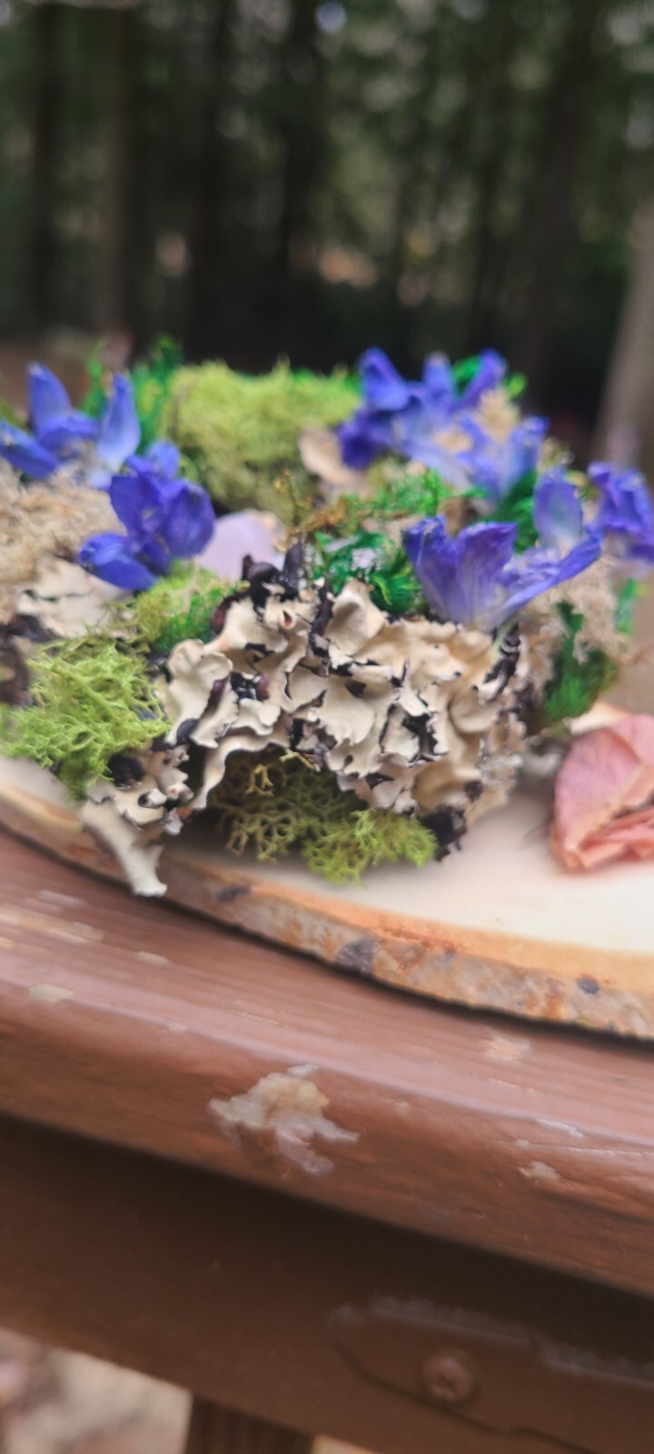 Spring Decor. Bird Nest With Moss Dried Flowers And Crystals. Resting On Wood.